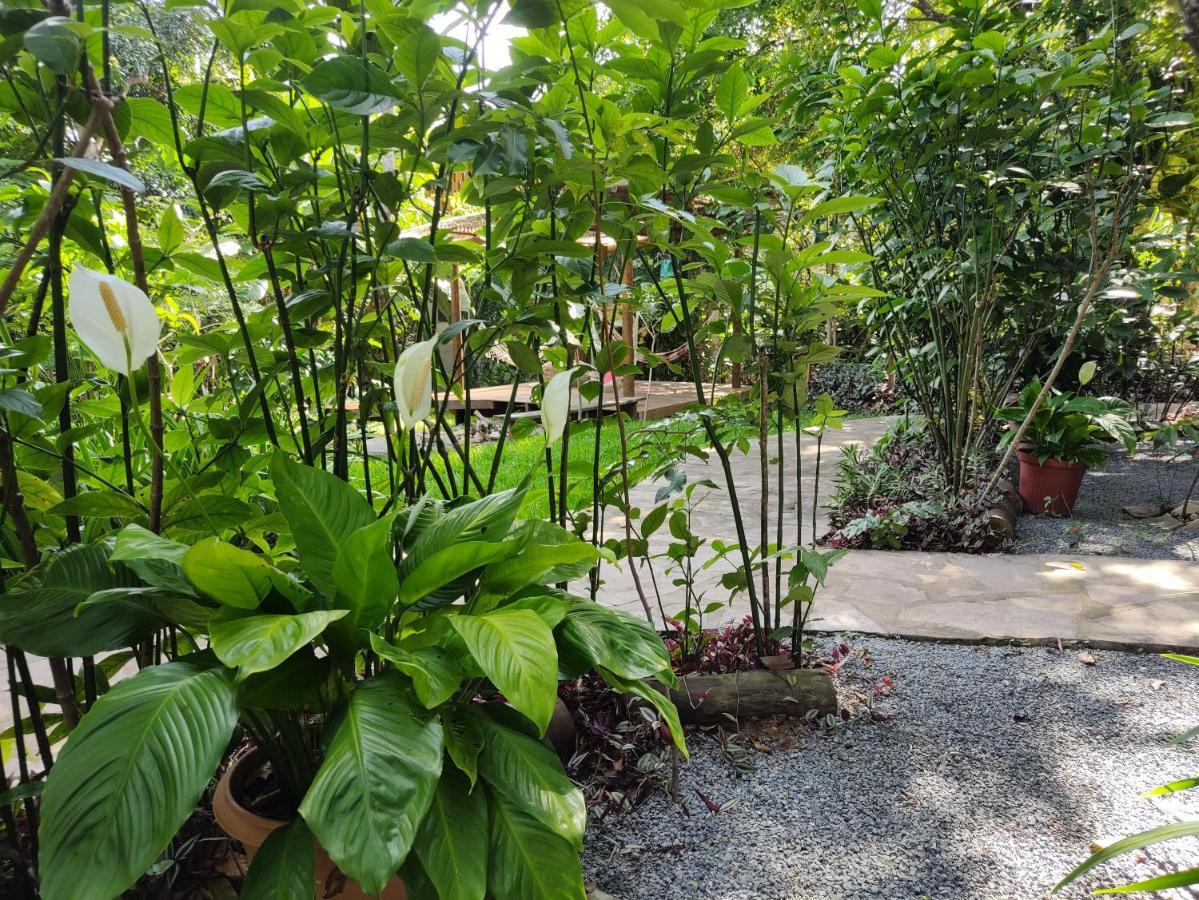 Pousada Casa Viva A Vida Lencois Buitenkant foto