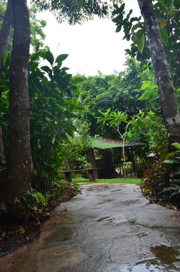 Pousada Casa Viva A Vida Lencois Buitenkant foto